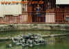 malaysia_5.jpg (42865 Byte)
